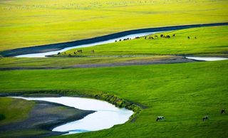 你们要的快速了解呼伦贝尔大草原来了!全程旅拍!