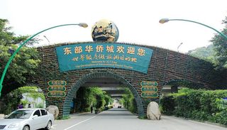 这个寒冷的冬季，去深圳感受下温暖