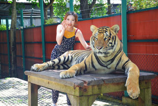 普吉岛+斯米兰 9日自由行 | 写信告诉你，今天海是什么颜色