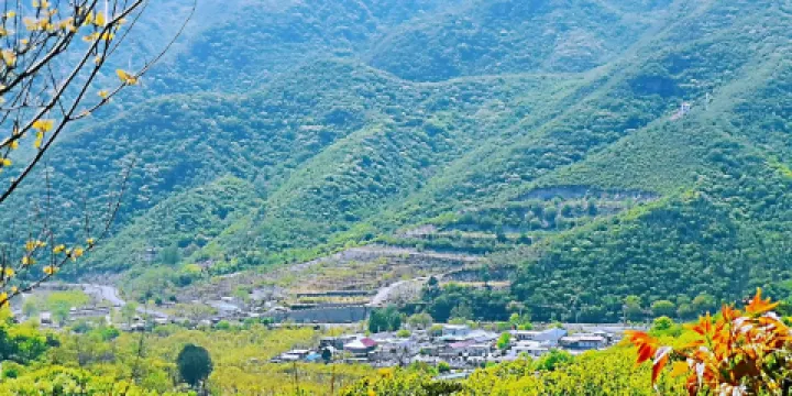 大楊山國家森林公園