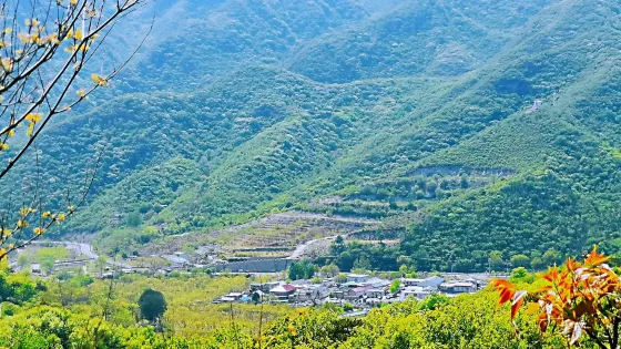 大楊山國家森林公園