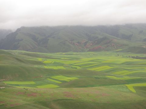 A62-011.拖妻带女国内游之2014年暑假遨游西北（D8）