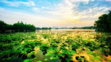 大明湖景区-济南-麦穗子