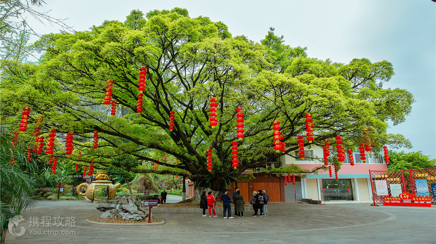 伏波山