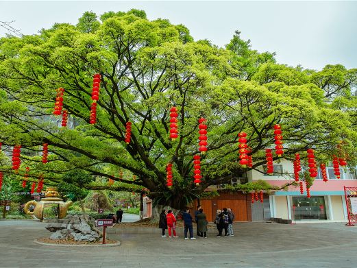 伏波山