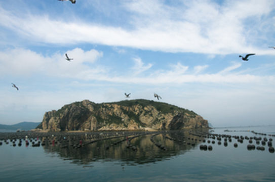 大连海岛哪个好玩?看看大连哈仙岛,大连海岛中的璀璨明珠!