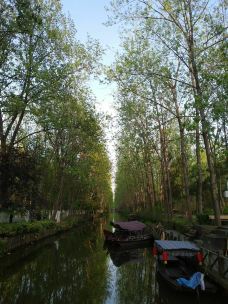 滨湖国家森林公园-合肥-山在穷游