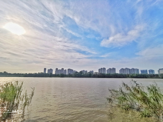 我独自游历6公里最美路线,长江沿岸最大城市公园,吃河鲜无门票