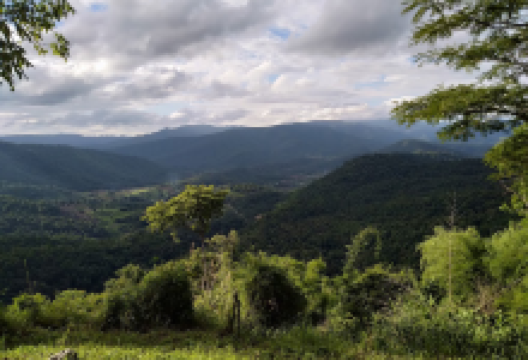 Phu Suan Sai National Park景点图片