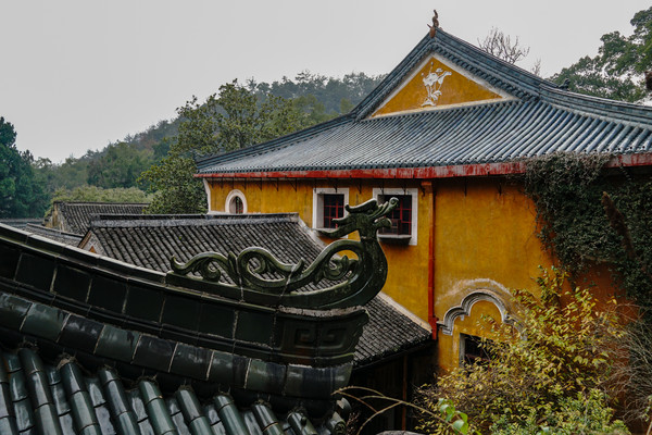 台州 | 天台山｜国清寺｜望，天台里