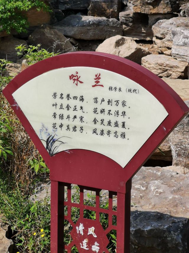 北固山森林公园旅行图片 2