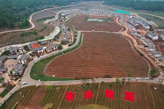 遂宁旅行｜宋井桃园，依托千年卓筒井打造的乡村游