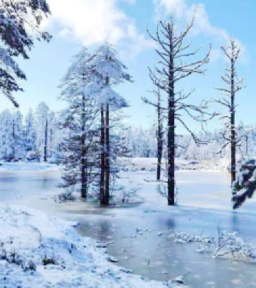 桌山游记图文-“冰雪瓦屋、世界桌山”为你带来超凡的绝美雪景~亲子遛娃必须这里啊！