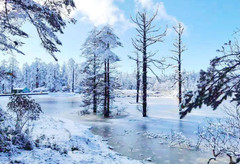 桌山游记图片] “冰雪瓦屋、世界桌山”为你带来超凡的绝美雪景~亲子遛娃必须这里啊！