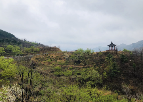 郑城镇观音山旅游区
