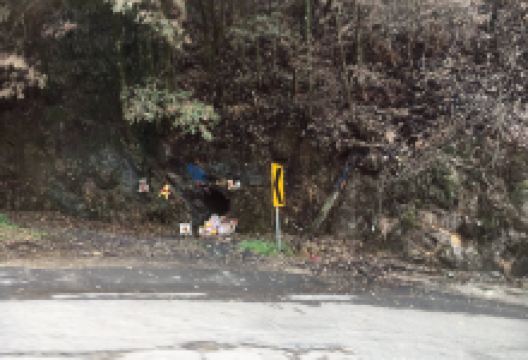 Pooh Bear Corner景点图片