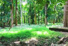 Conolly's Plot Ecotourism Centre景点图片