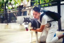 TrueLove @ Neverland (Husky Cafe)景点图片