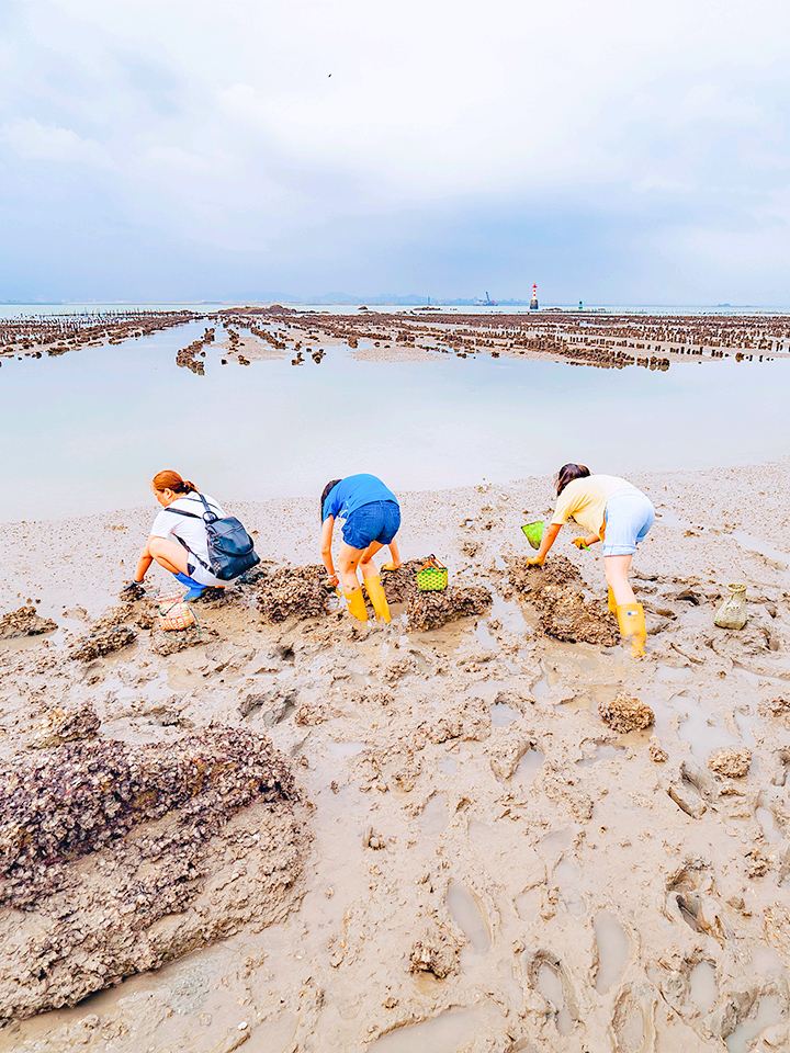 厦门赶海