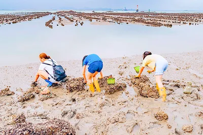 厦门赶海