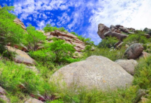 乌兰察布岩画景点图片