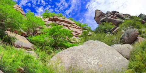 烏蘭察布岩畫