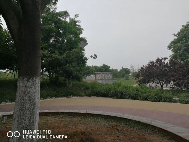 长兴岛体育公园旅行图片 1