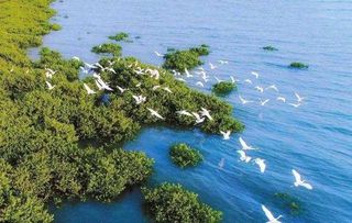 北戴河8个最值得去的景点，游人亲身体验推荐，风景一个赛一个的好