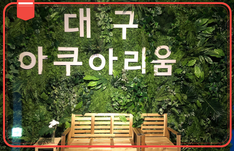 大邱親子一日遊：#大邱水族館 #ZOORAJI主題公園 #VAUNCE蹦床公園。