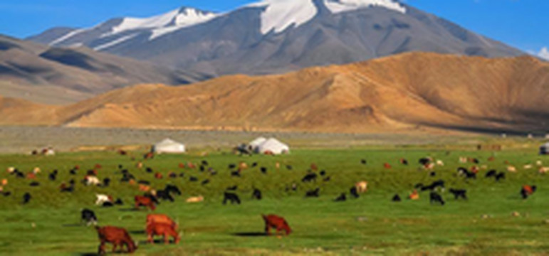 卓资游记图片] 卓资县：蒙古族为什么要游牧