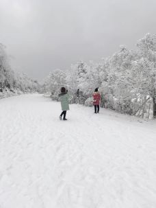 阳宝山旅游度假区-贵定-肥肥熊