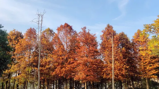 赤山湖國家濕地公園