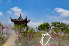 墨潭桃花岛-吉水-C-IMAGE