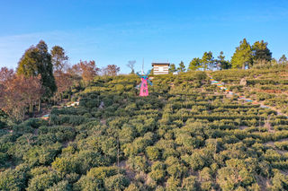 新年第一次旅行，与艾力绅锐·混动一起款待家人