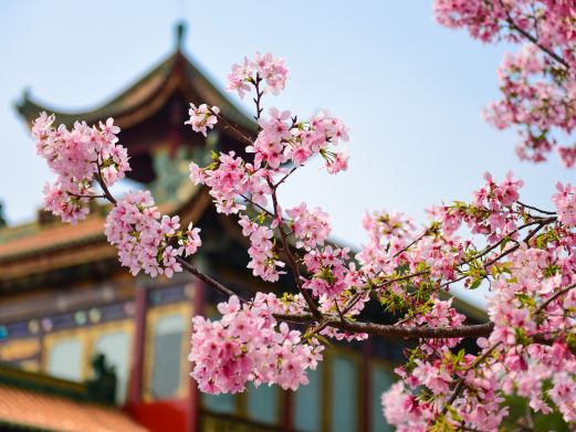 南粤苑