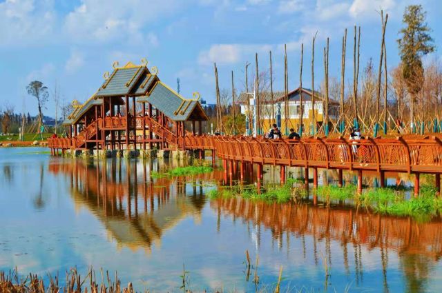 斗南湿地公园旅行图片 3
