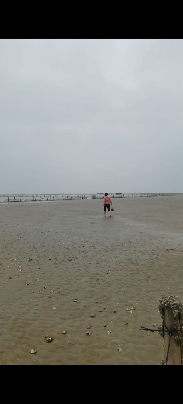 簕山古渔村旅行图片 1