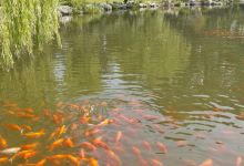 马尼托公园景点图片