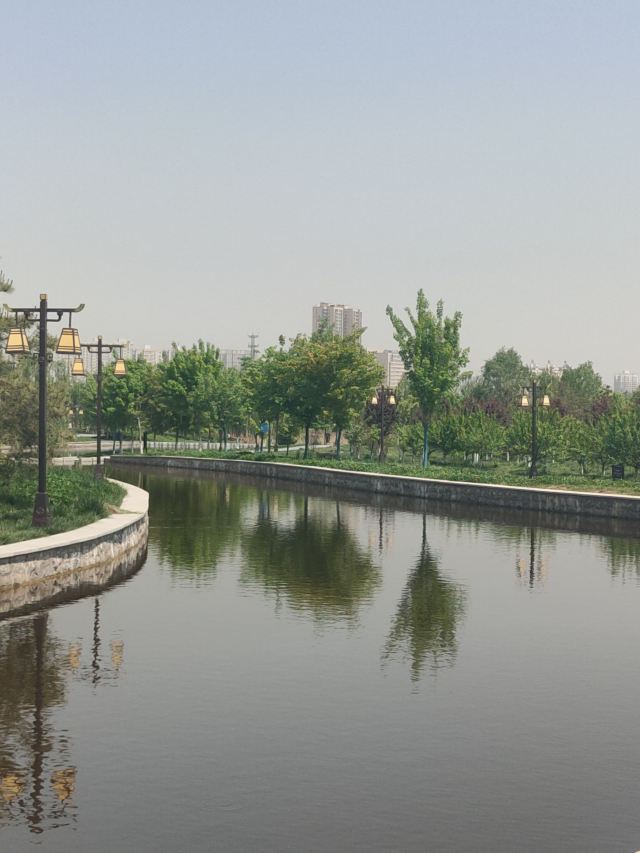 两寺渡公园旅行图片 9