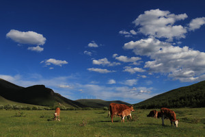 大滩镇游记图文-丰宁｜京北第一天路，最适合自驾的避暑胜地