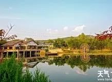 上窑森林公园-淮南-社会颜色