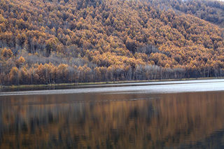 北上日记（五）多彩阿尔山