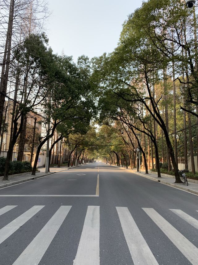 复兴岛公园旅行图片 7