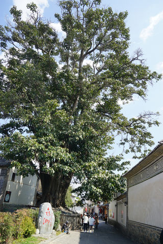 四进云南（大理之五，喜州古镇）