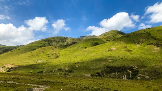 隴西渭河生態風情園雙龍口景區