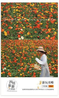 成都免费赏花地！大片绣球花、虞美人花海，还能度假“小欧洲”，收藏码住，拍照打卡羡煞朋友圈！