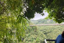 芦沟竹海景点图片