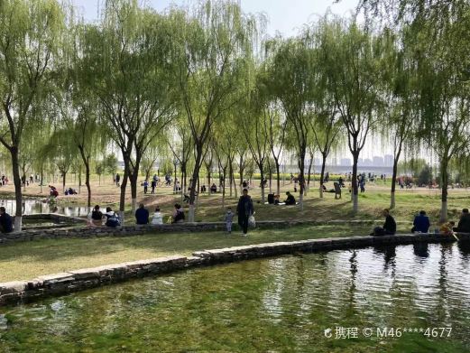 渭柳湿地公园