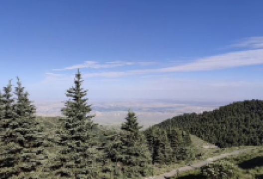 罗山国家级自然保护区景点图片