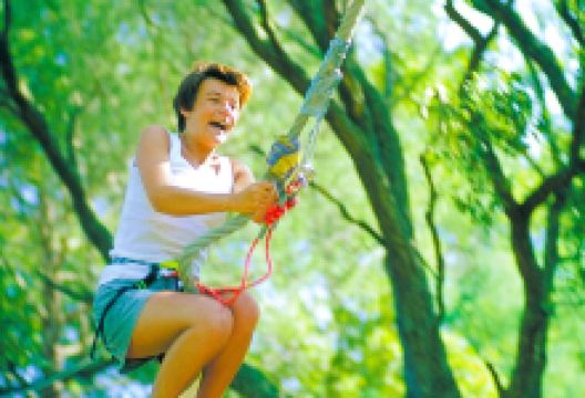 Sherwood Parc景点图片